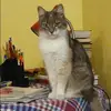 Отзыв от Аня Савельева